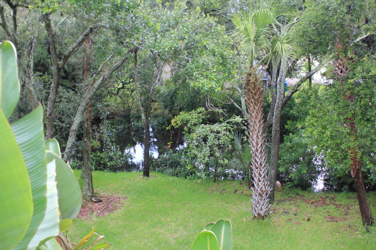 Treehouse * Tampa